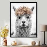 Curious Alpaca - Beige Alpaca Wall Art