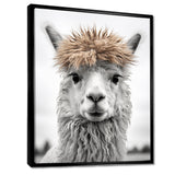 Curious Alpaca - Beige Alpaca Wall Art