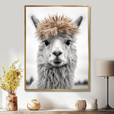 Curious Alpaca - Beige Alpaca Wall Art