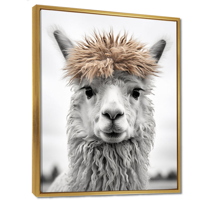 Curious Alpaca - Beige Alpaca Wall Art