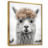 Curious Alpaca - Beige Alpaca Wall Art