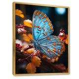 Turquoise Yellow Animal Butterfly - Butterfly Wall Art Prints