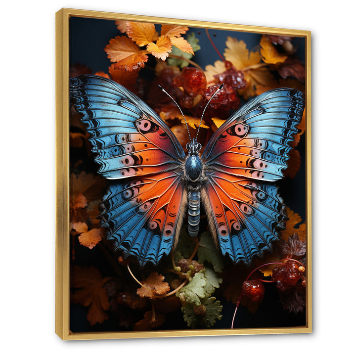 Orange Turquoise Animal Butterfly - Orange Butterfly Wall Art