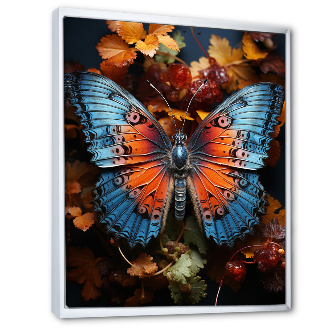 Orange Turquoise Animal Butterfly - Orange Butterfly Wall Art