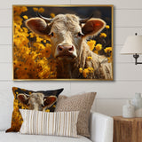 Cow Fields Of Gold - Cow Wall Decor
