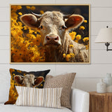 Cow Fields Of Gold - Cow Wall Decor