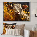 Cow Fields Of Gold - Cow Wall Decor