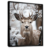 Animal Winter Deer - Animals Canvas Wall Art