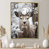 Animal Winter Deer - Animals Canvas Wall Art