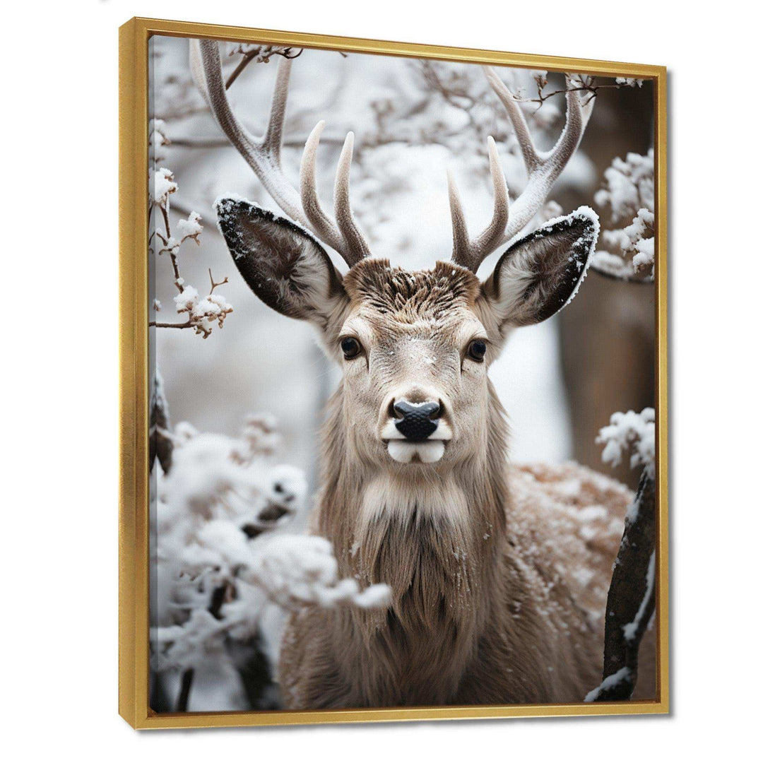 Animal Winter Deer - Animals Canvas Wall Art