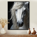 White Horse Serenity - Horse Canvas Wall Art