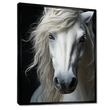 White Horse Serenity - Horse Canvas Wall Art