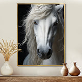 White Horse Serenity - Horse Canvas Wall Art