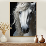 White Horse Serenity - Horse Canvas Wall Art