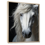 White Horse Serenity - Horse Canvas Wall Art