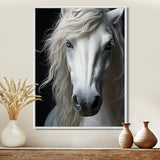 White Horse Serenity - Horse Canvas Wall Art
