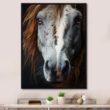 Grey Brown Horse Serenity - Horse Canvas Wall Art