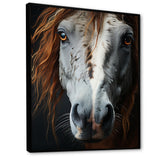 Grey Brown Horse Serenity - Horse Canvas Wall Art