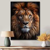 Animal Lion Portrait II - Animals Canvas Wall Art