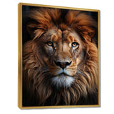 Animal Lion Portrait II - Animals Canvas Wall Art