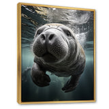 Grey Teal Animal Manatee - Manatee Wall Art Prints