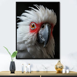 White Coral Animal Parrot - Parrot Canvas Wall Art