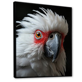 White Coral Animal Parrot - Parrot Canvas Wall Art