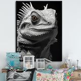 Grey Reptile Amphibian Portrait - Gray Reptile Wall Art