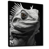 Grey Reptile Amphibian Portrait - Gray Reptile Wall Art