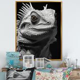 Grey Reptile Amphibian Portrait - Gray Reptile Wall Art