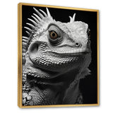 Grey Reptile Amphibian Portrait - Gray Reptile Wall Art