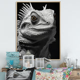 Grey Reptile Amphibian Portrait - Gray Reptile Wall Art
