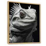 Grey Reptile Amphibian Portrait - Gray Reptile Wall Art