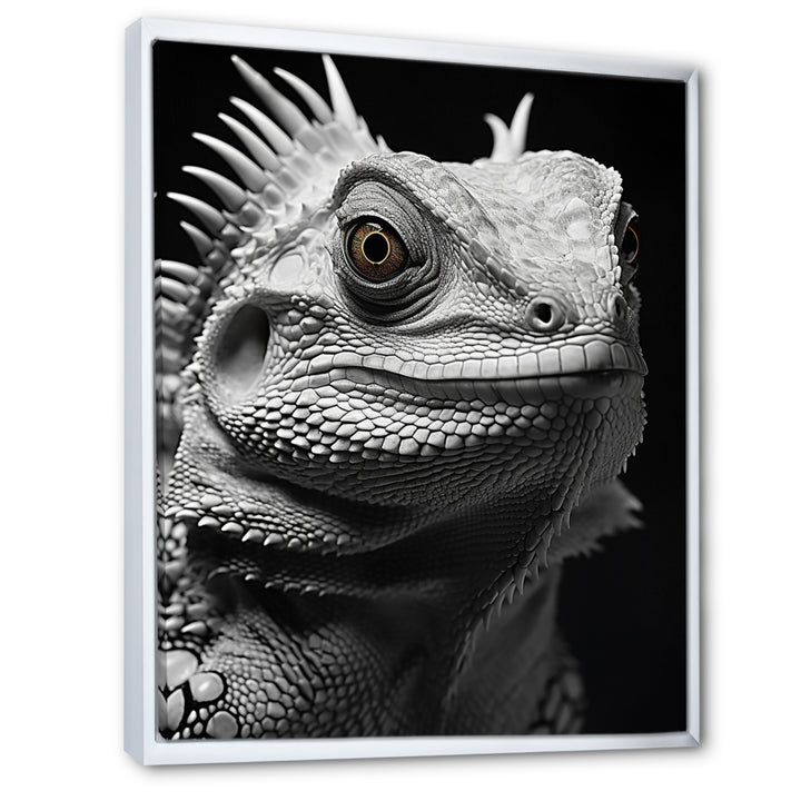 Grey Reptile Amphibian Portrait - Gray Reptile Wall Art