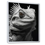 Grey Reptile Amphibian Portrait - Gray Reptile Wall Art