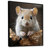Cute Rodent - Rodent Framed Canvas Art