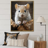 Cute Rodent - Rodent Framed Canvas Art
