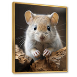 Cute Rodent - Rodent Framed Canvas Art