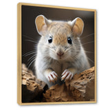 Cute Rodent - Rodent Framed Canvas Art