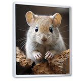 Cute Rodent - Rodent Framed Canvas Art