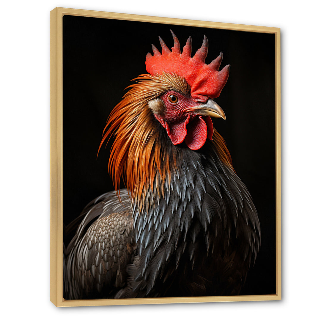 Black Rooster Portrait - Rooster Large Canvas Wall Art