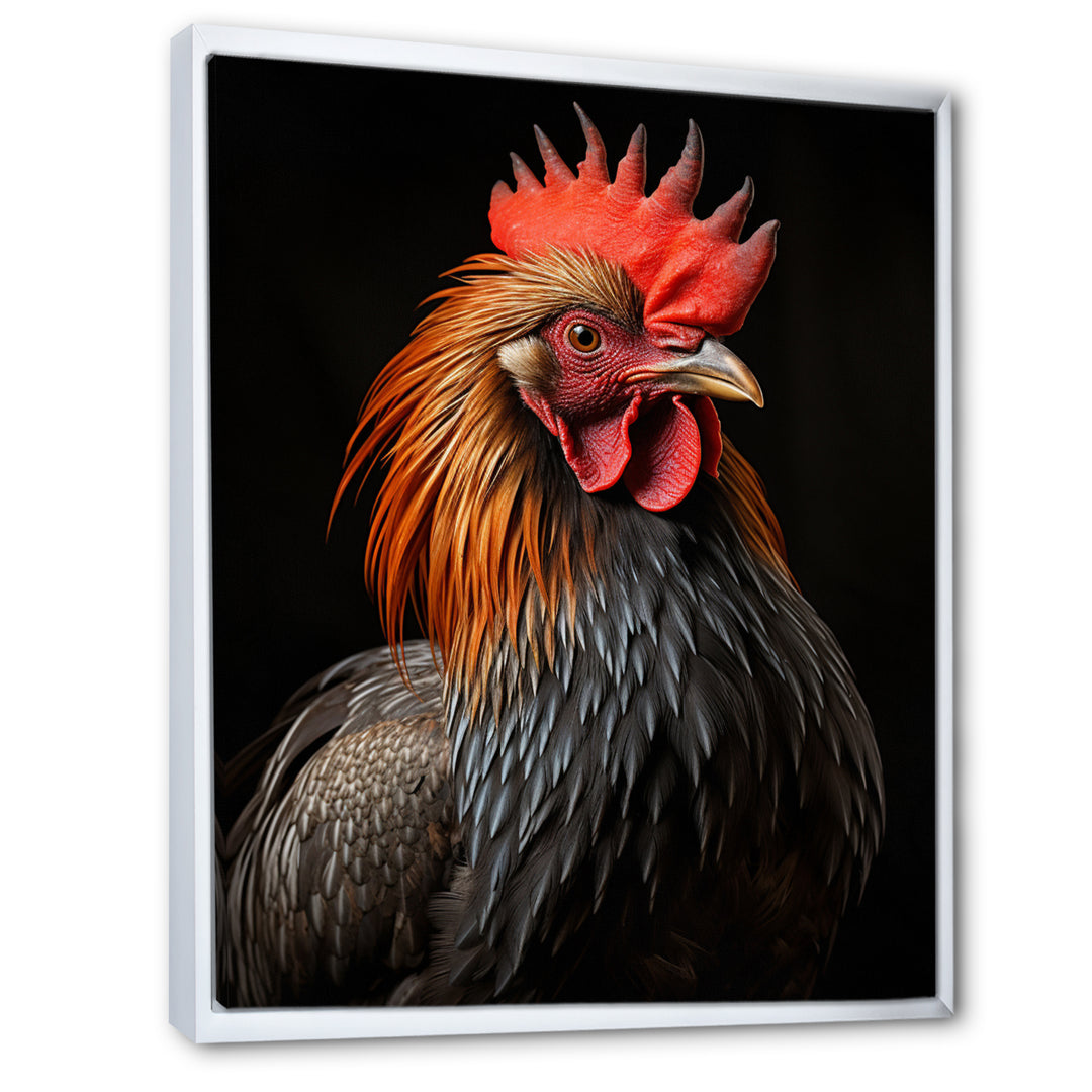 Black Rooster Portrait - Rooster Large Canvas Wall Art