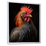 Black Rooster Portrait - Rooster Large Canvas Wall Art