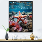 Coral Teal Starfish - Starfish Wall Decor
