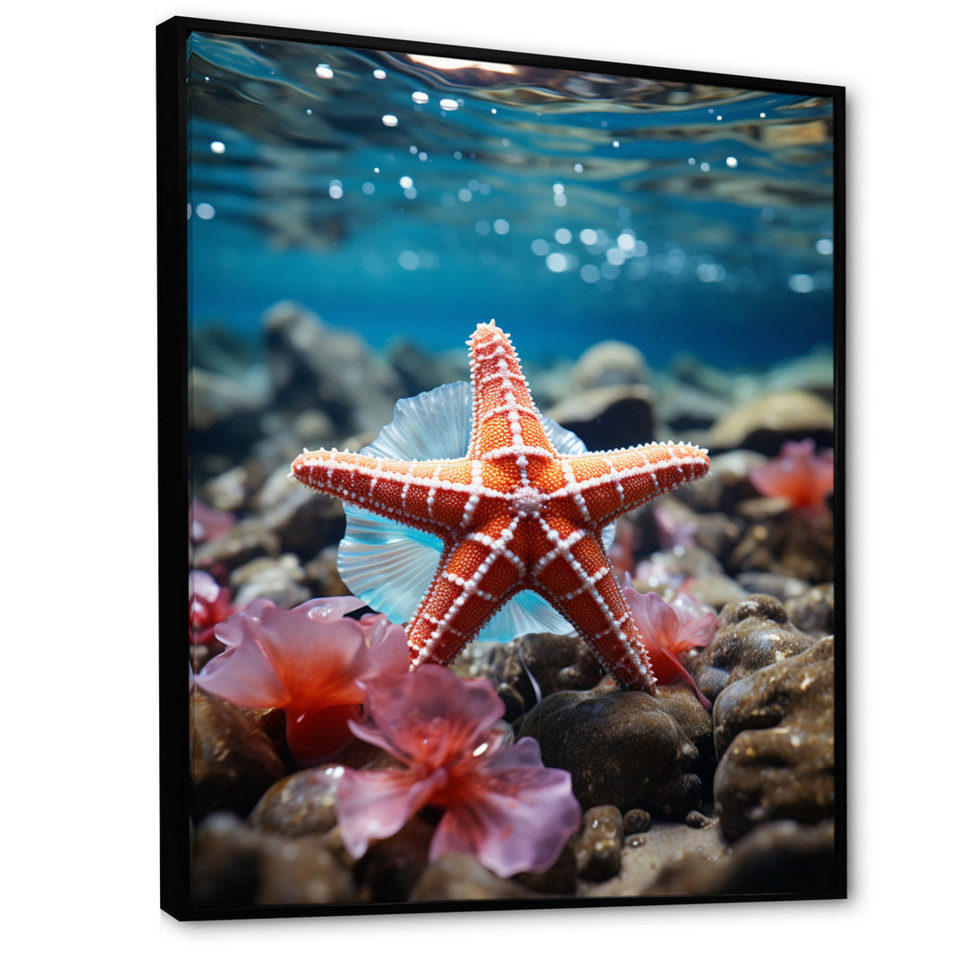 Coral Teal Starfish - Starfish Wall Decor