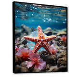 Coral Teal Starfish - Starfish Wall Decor