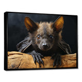 Bat Portrait I - Animals Canvas Wall Art