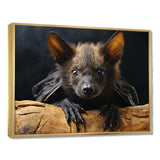 Bat Portrait I - Animals Canvas Wall Art