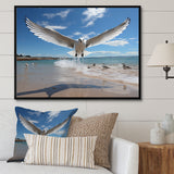 Blue Seagulls In Flight At Beach - Seagull Living Room Wall Art