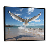 Blue Seagulls In Flight At Beach - Seagull Living Room Wall Art